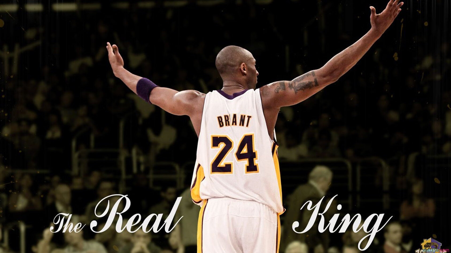 滑板犬牵引赛 狗狗拉着滑板手在平地巡游